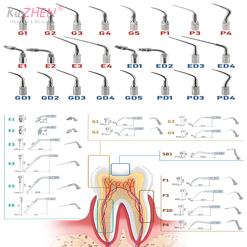 Teeth Whitening Tips - 1Pc Dentale Ad Ultrasuoni Perio Scaler