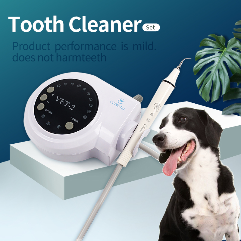 Teeth Whitening Tips - Ablatore Dentale a Ultrasuoni Professionale per